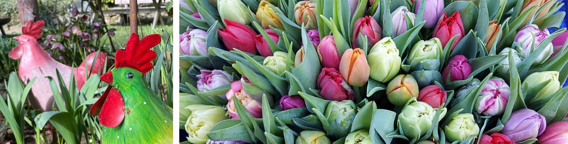 Tulpenbracht und Hahndekoration